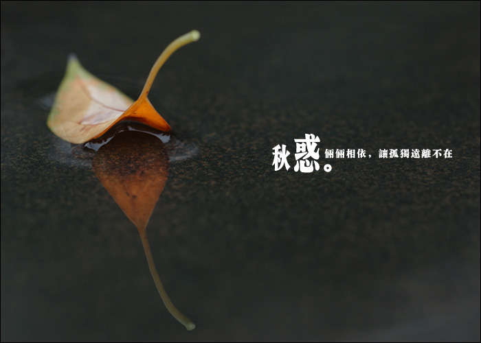  :ģ3еǨ
 ߣ
 :2014-11-19 10:26:10
 :1903